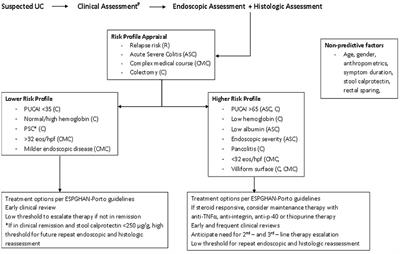 Endoscopic and Histologic Predictors of Outcomes in Pediatric Ulcerative Colitis—Caveat Emptor